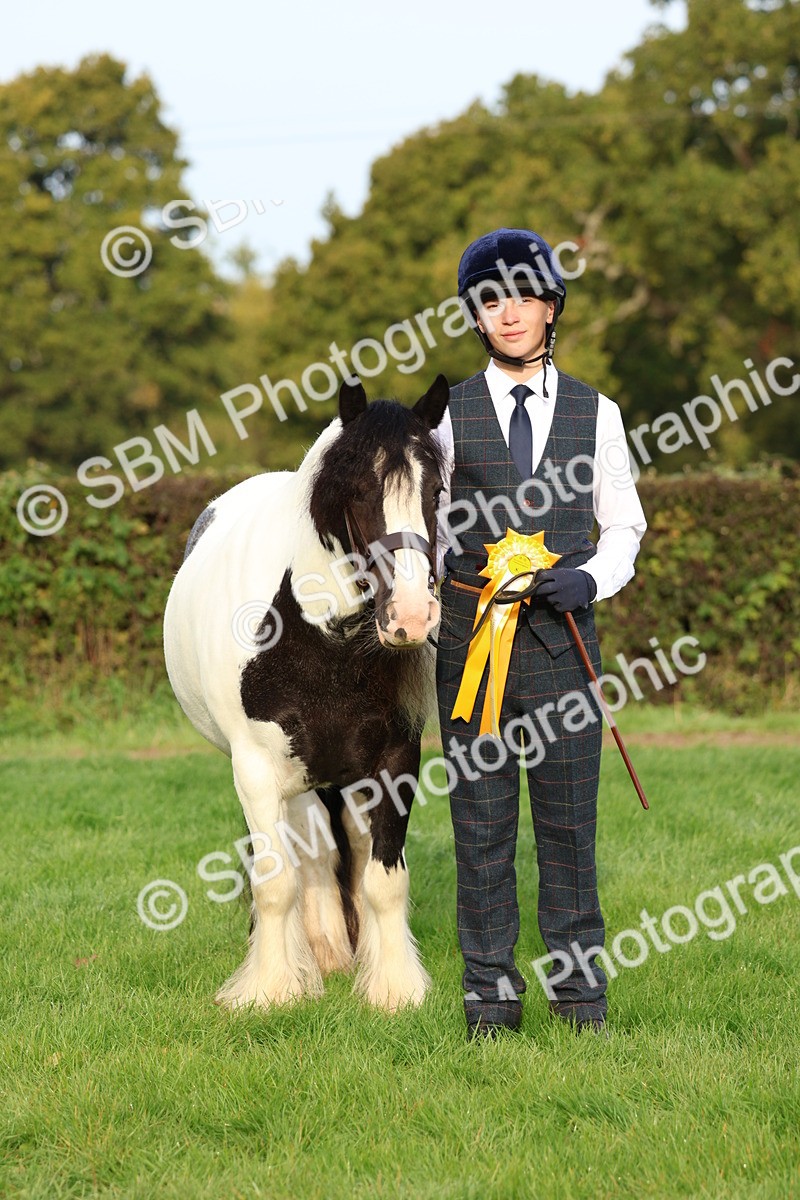 SBM_54915 - S39 - Starters In Hand Showing