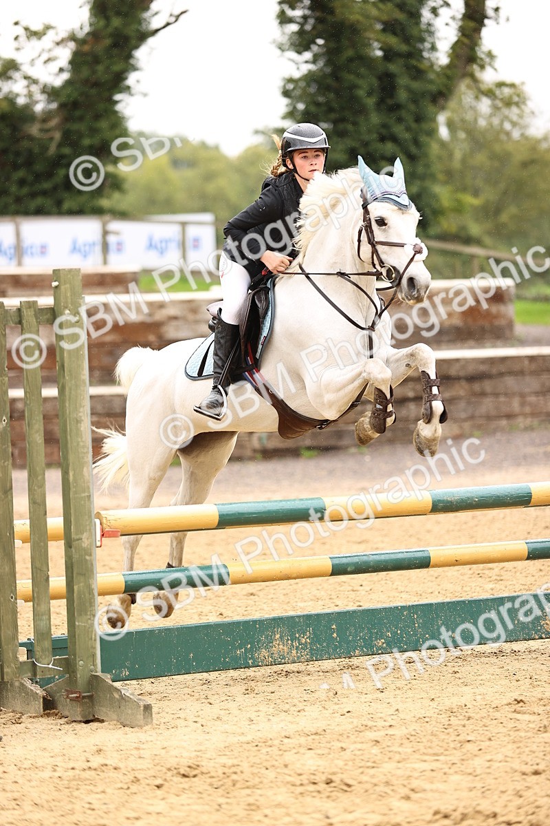 SBM_69002 - J18 - Junior Pony 85cm championship