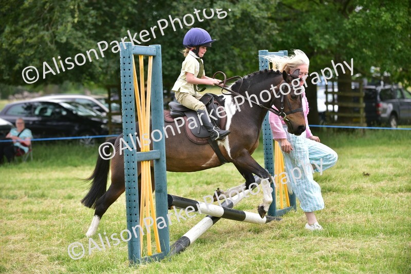 20260614-2699 - Class 13 - Pony Club Pony