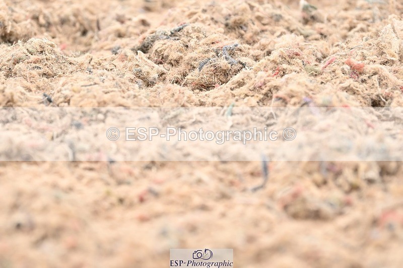 250620-093831-01616 - BD Cls 2 - Preliminary 6, Start to 9.50am