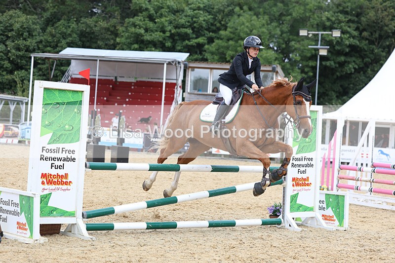 3E7A5188 - Class 4: Senior British Novice/90cm open