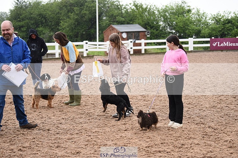 240518A-133004-01314 - Cls 8 Dog the judge would most like to take home