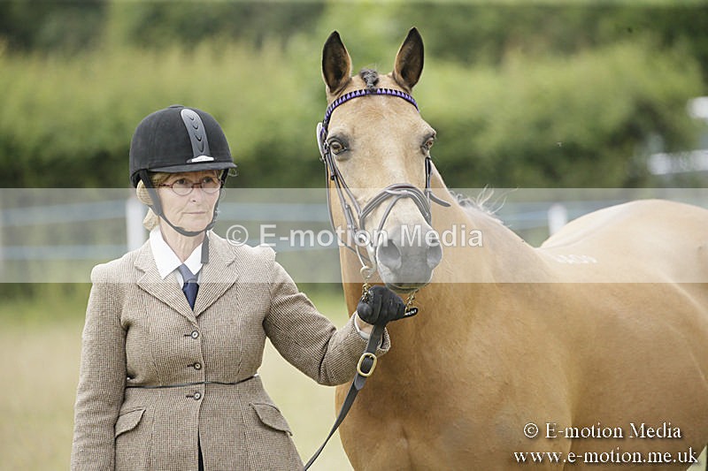 B230619-0573 - Bourne Valley Riding Club Summer Show 23/06/19