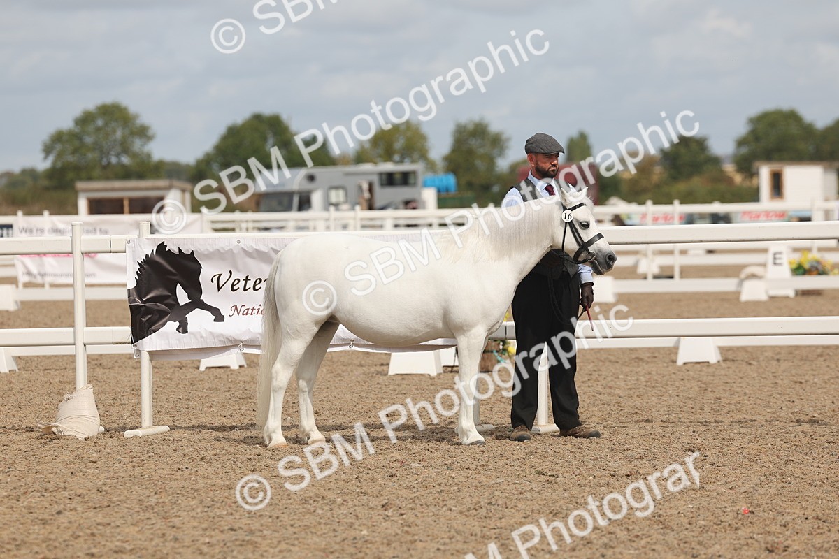 SBM_04926 - Class 20 - IH Veteran