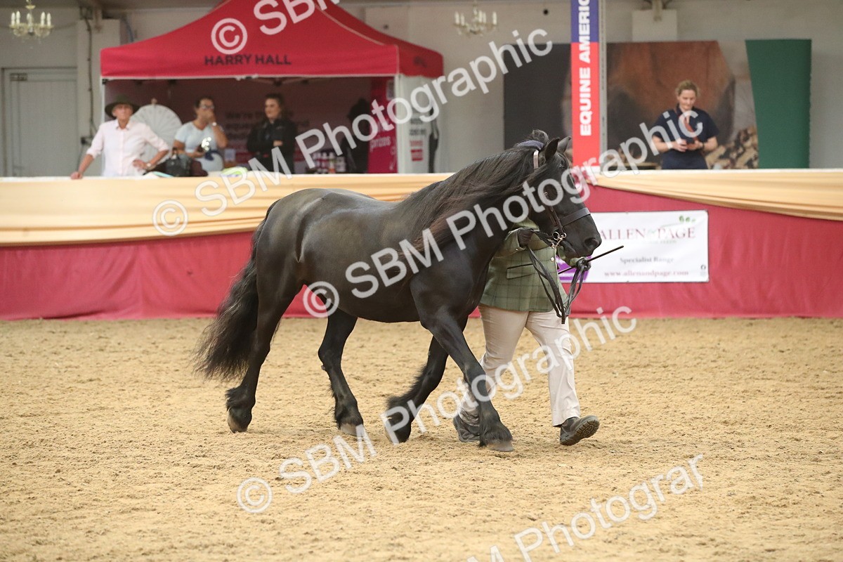 SBM_05657 - Class 9R - Regional IH Pre-Vet