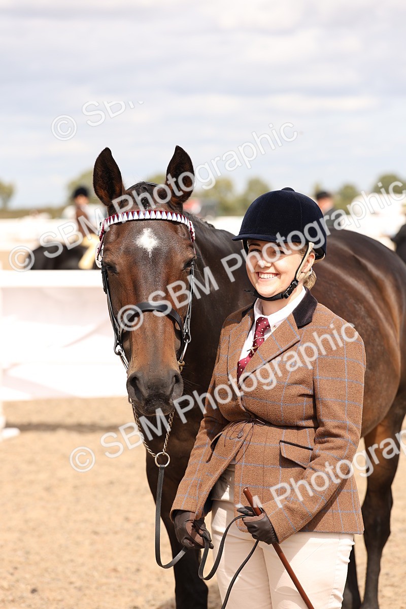 SBM_15397 - Class 210- IH Show Horse