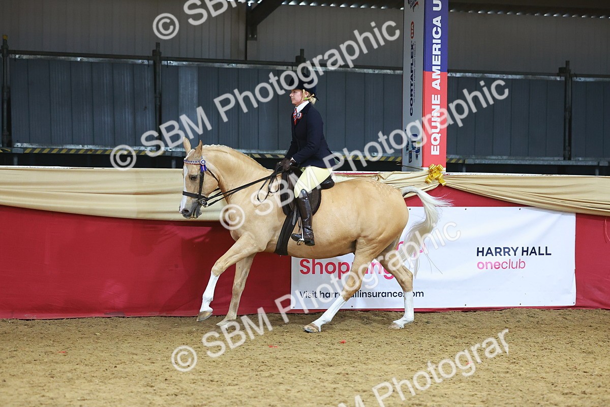 SBM_09650 - Class 102 - HOYS Veteran Qualifier - Ridden Veteran