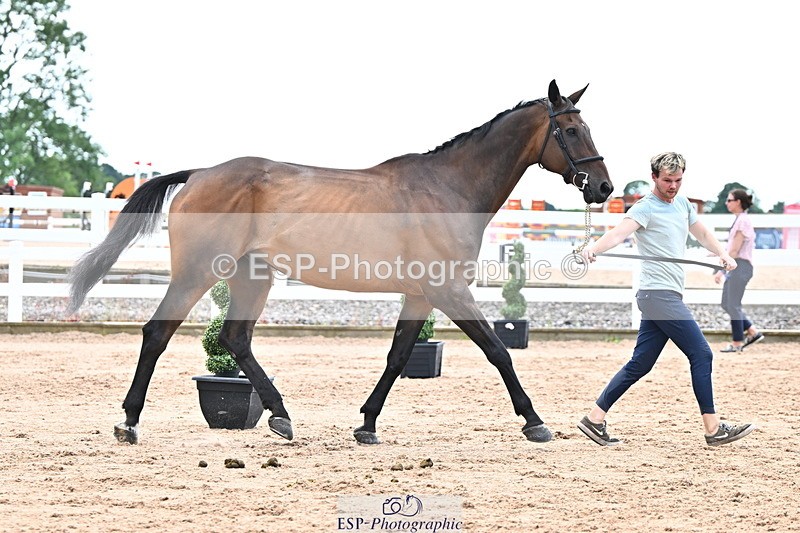 240718A-105326-02014 - Trot Up 2pm to 3pm - This folder is not in time order