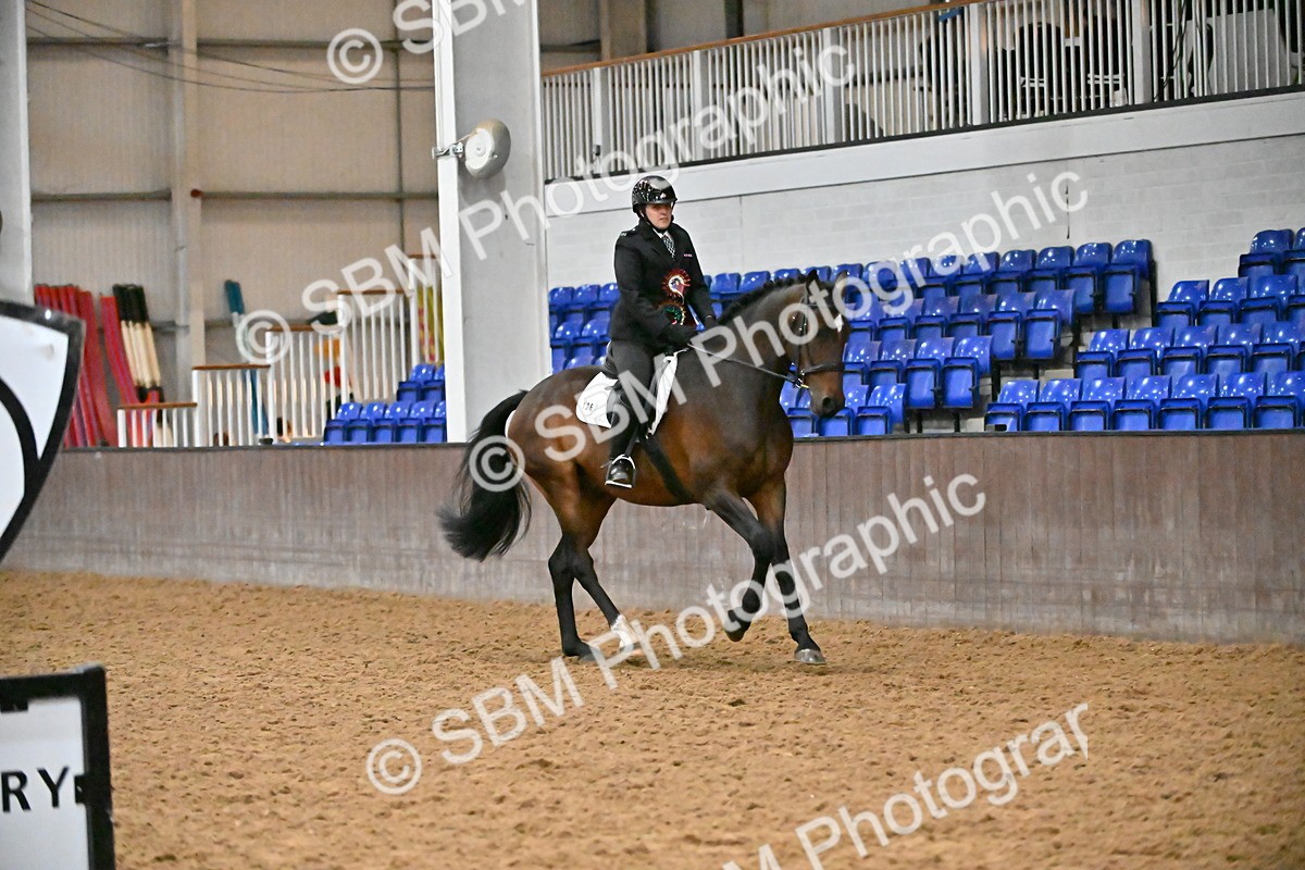 SBM_003062 - Class 37,38 - UKPSAF Performance Horse & Pony