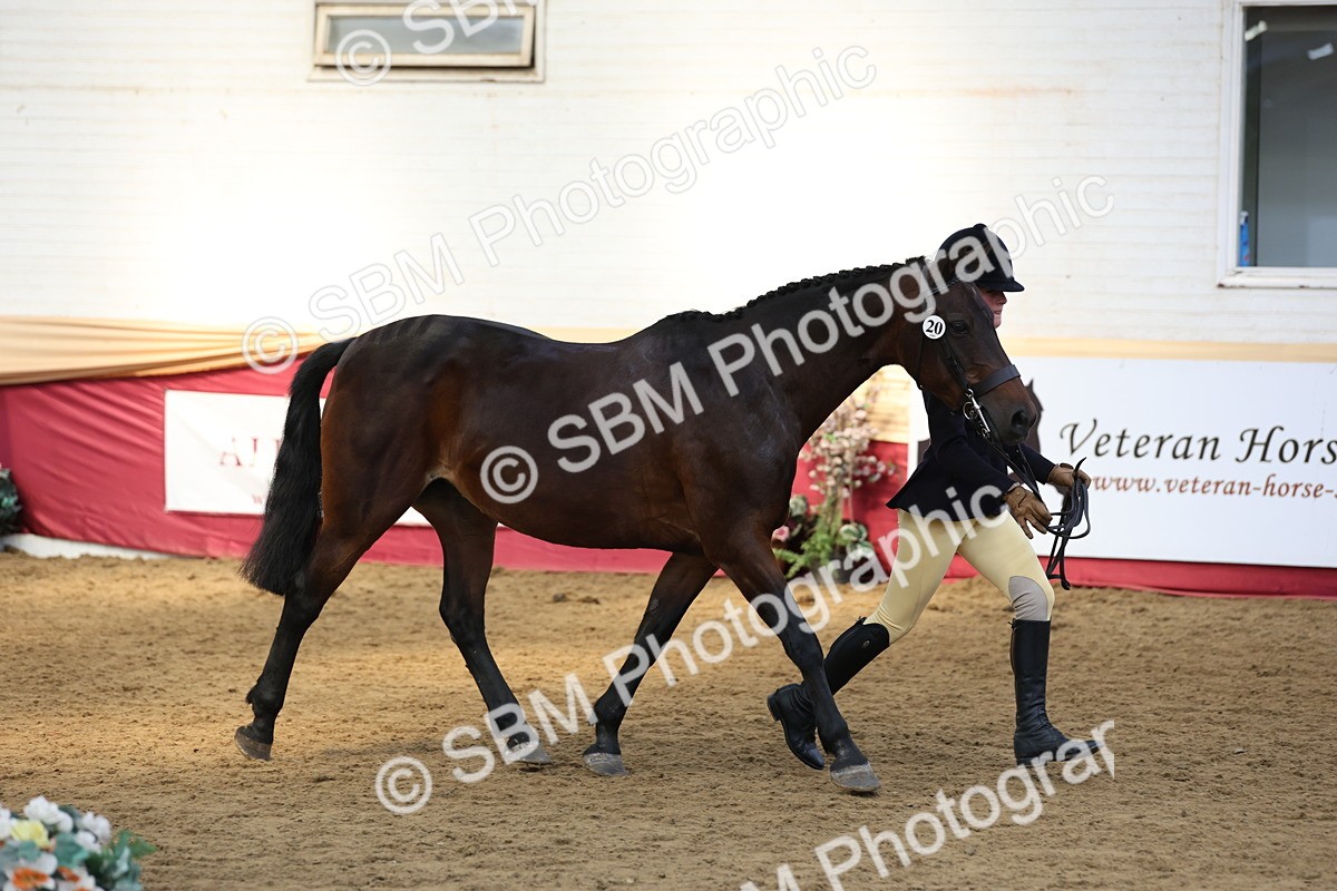 SBM_24158 - Class 905 - Supreme Final - Ridden Veteran