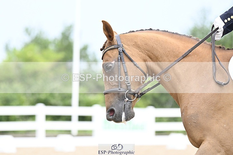 250621-103357-07587 - Cls 24 - Prelim 10.10 to End