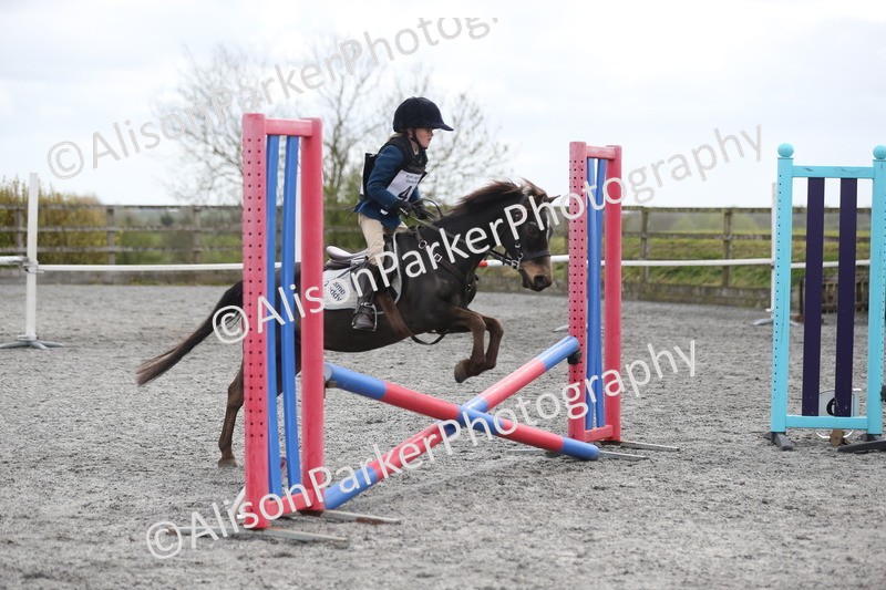 20260412-0570 - Show Jumping