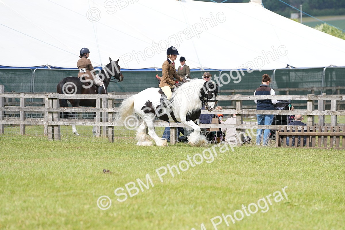 SBM_17240 - Class 107-108 - LIHS BSPS Performance Coloured Horse Pony