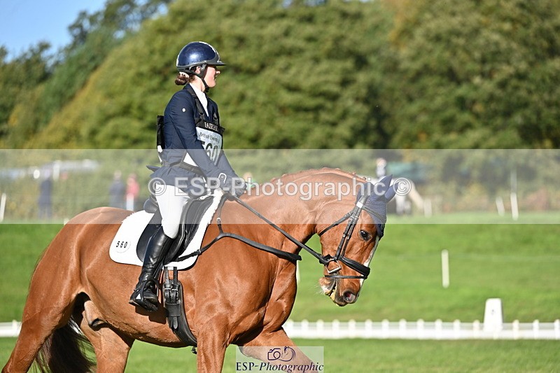 251024A-105425-08463 - G-560-Josie.Dix