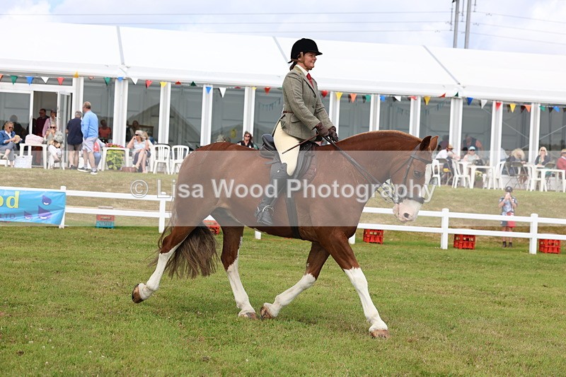 3E7A0288 - Class 6: Rising Star Maxi Cobs