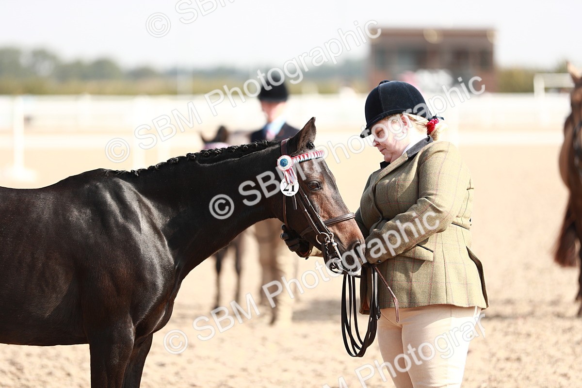 SBM_11114 - Class 205 IH Show Pony/ Show Hunter Pony