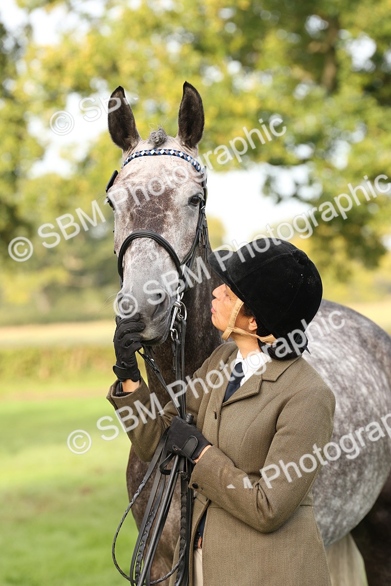 SBM_55002 - S52 - Riding Horse & Hack & thoroughbred In Hand