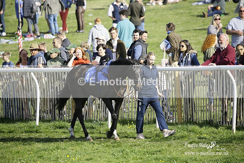 PtP 180422 316 - Old Berkshire PtP Lockinge 18/04/22
