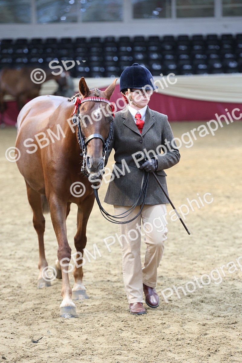 SBM_22533 - Class 902 - Supreme Final - IH Diamond