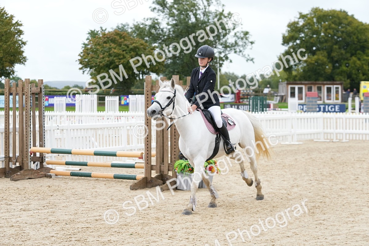 SBM_40910 - Supreme Championship Pony 50-55cm