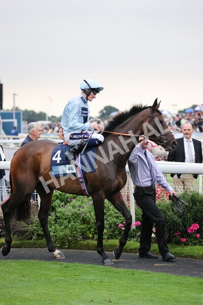 yr22072022r5-10 - Race 5 7.20pm British Stallion Studs EBF Lyric Fillies' Stakes