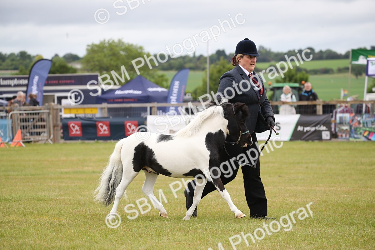 SBM_03816 - Class 23-25 - British Miniature Horse of the Year