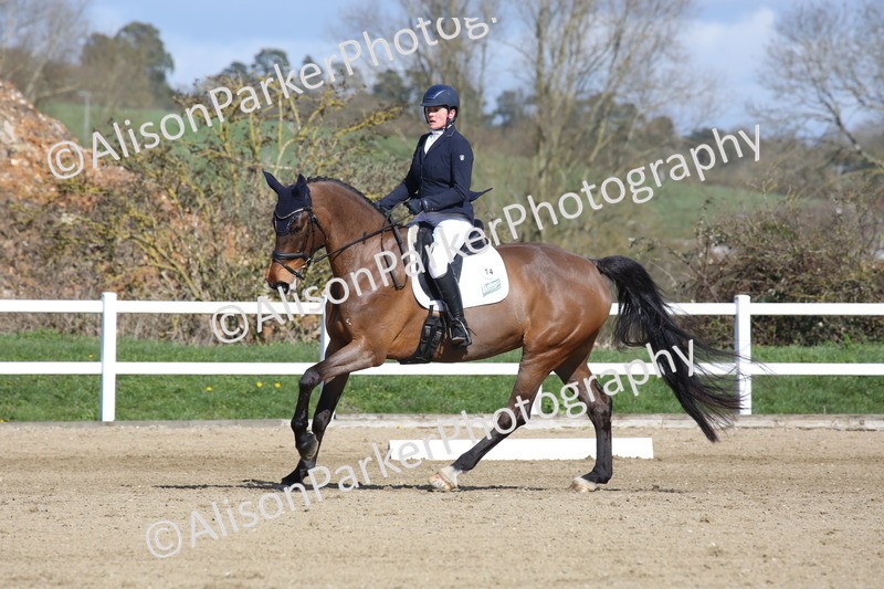 20260314-4109 - CT4 - Novice 1