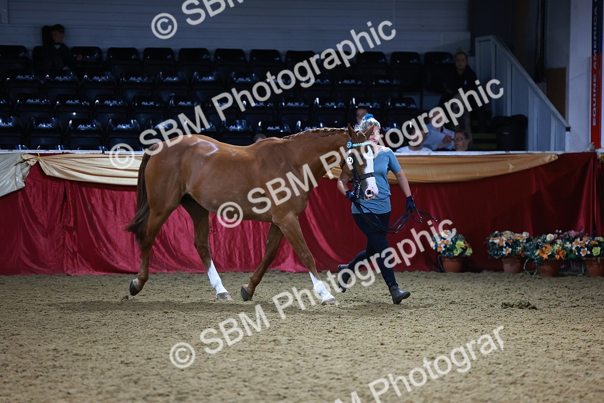 SBM_22336 - Class 902 - Supreme Final - IH Diamond