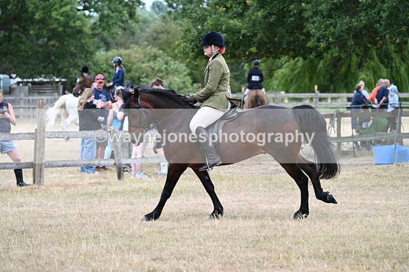 WJ7_0628 - Class 6 Ridden Mountain and Moorland