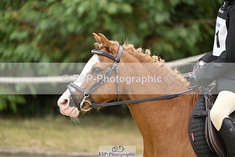 250820A-114930-03877 - Round 1, 11am to End