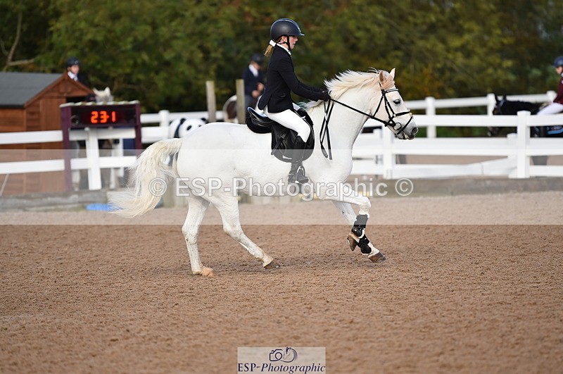 231028A-110928-00711 - Cls 2 British Novice & 80cm Open