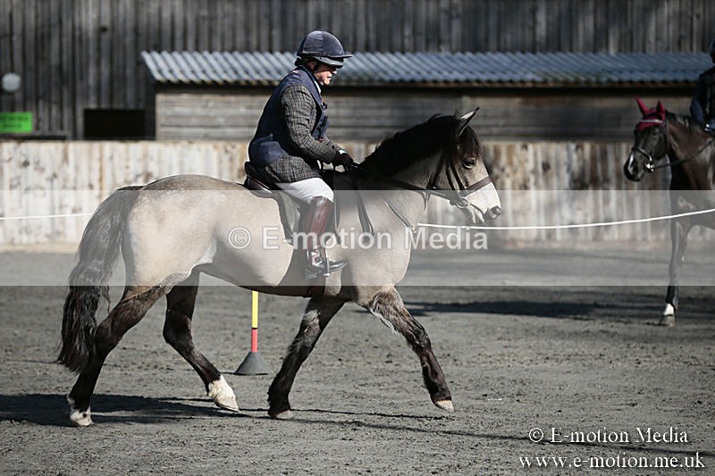 BVRC SJ 170319 17 - Bourne Valley Riding Club Showjumping 17/03/19
