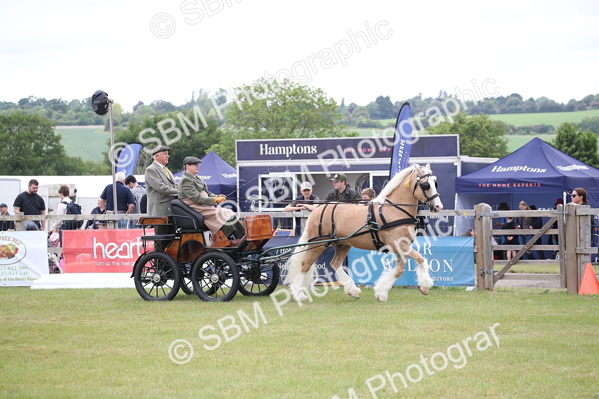 SBM_05614 - Class 12-15 - HOYS Private Driving