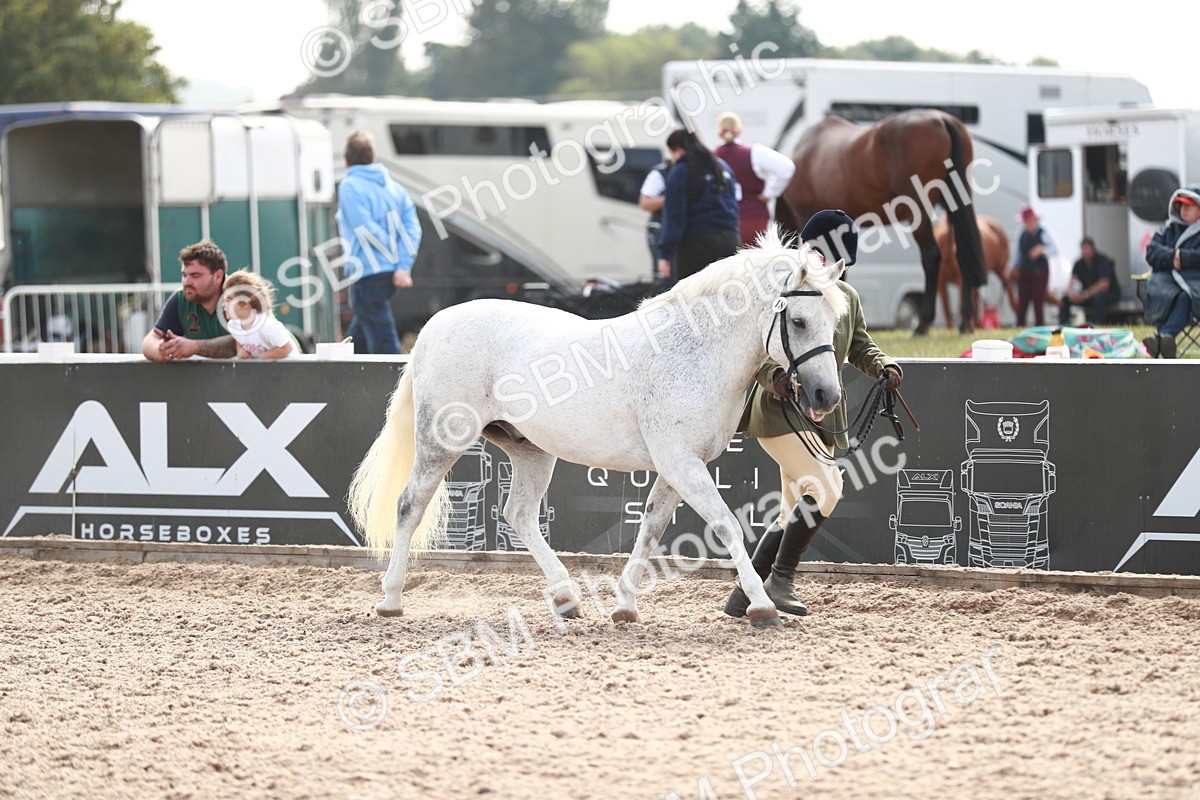 SBM_13849 - Class 209 IH Veteran Pony