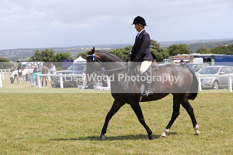 1X9A4586 - Class 34: Veteran Ridden