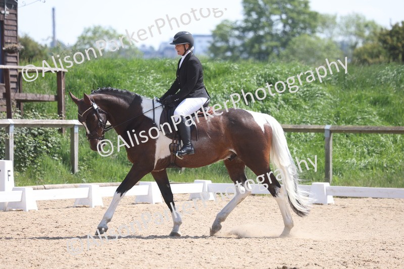 20250520-0812 - Class 5 - Novice 2