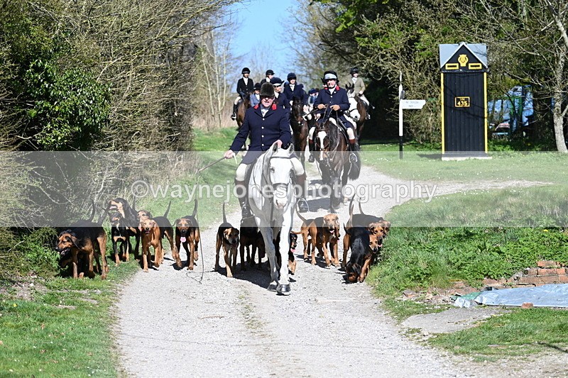 WJ7_9651 - Home for hunt tea !