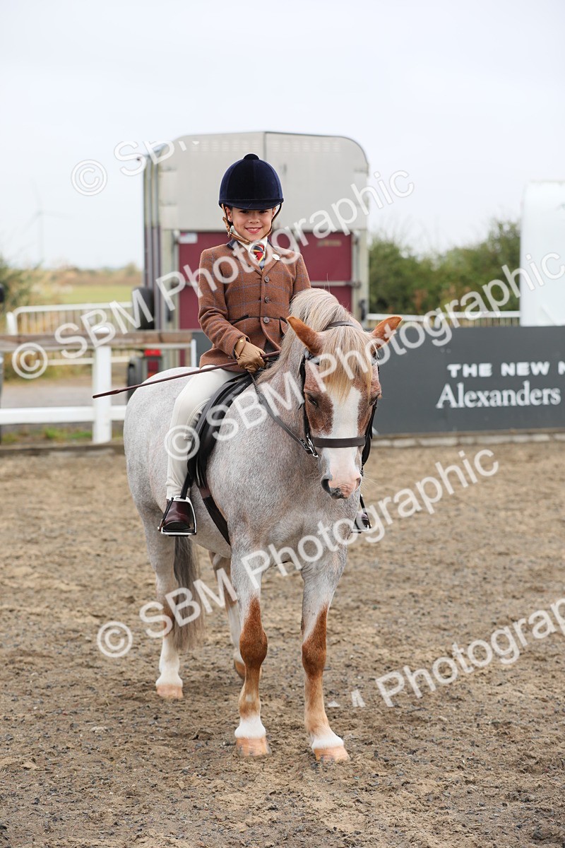 SBM_21753 - Class 806 - Young ridder 10 Yr & Under