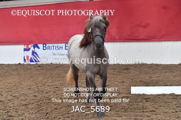 JAC_5689 - 6 Glenmuir Niamh