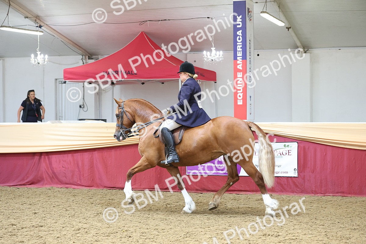 SBM_23824 - class 906 - Supreme Final - Ridden Pre Vet
