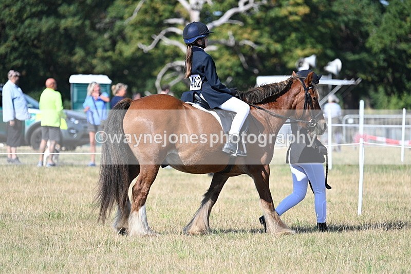 WJ7_3112 - Class 8 Ridden Tack & Turnout