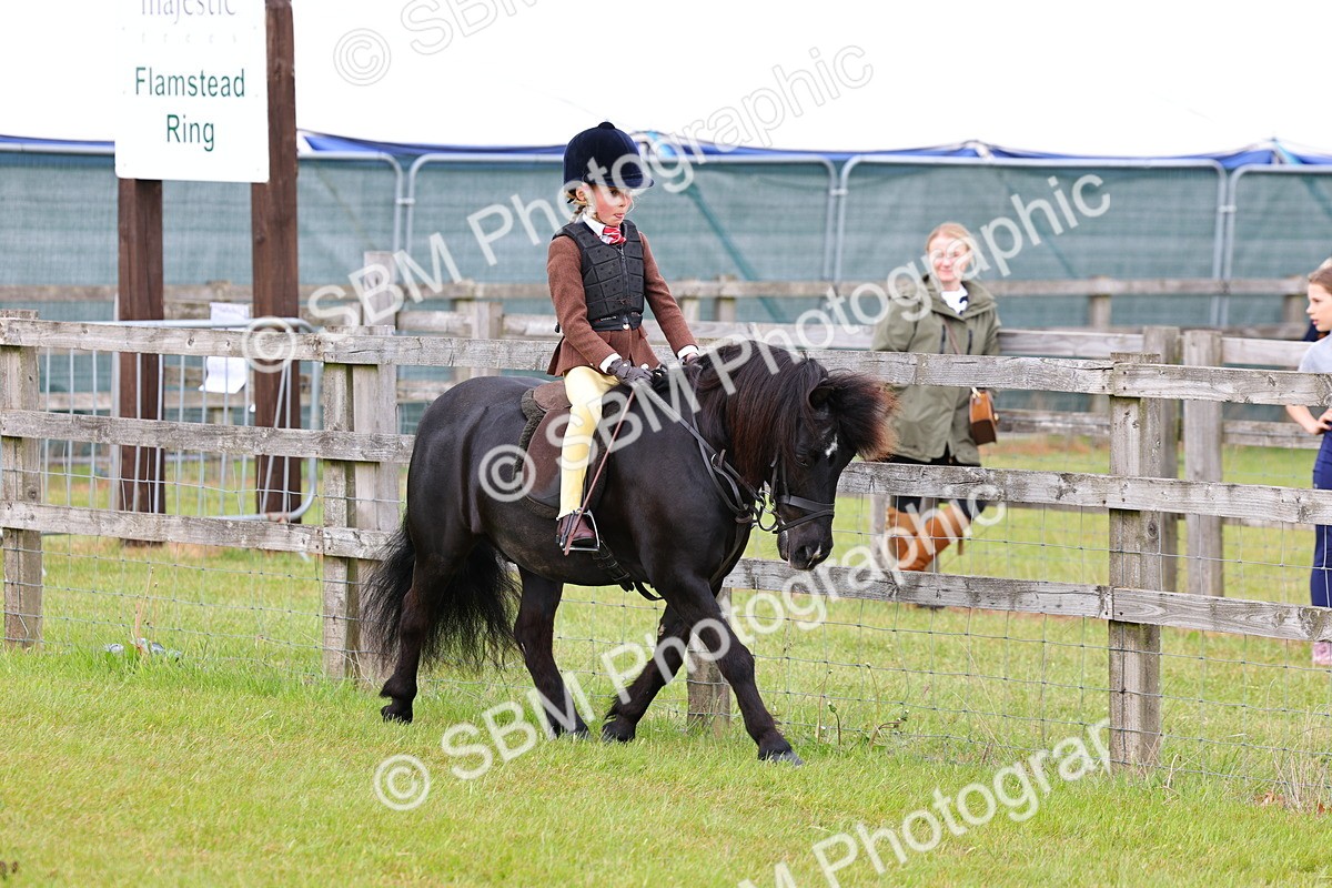 SBM_08490 - Class 42-43 - LIHS BSPS Heritage Working Sports Pony