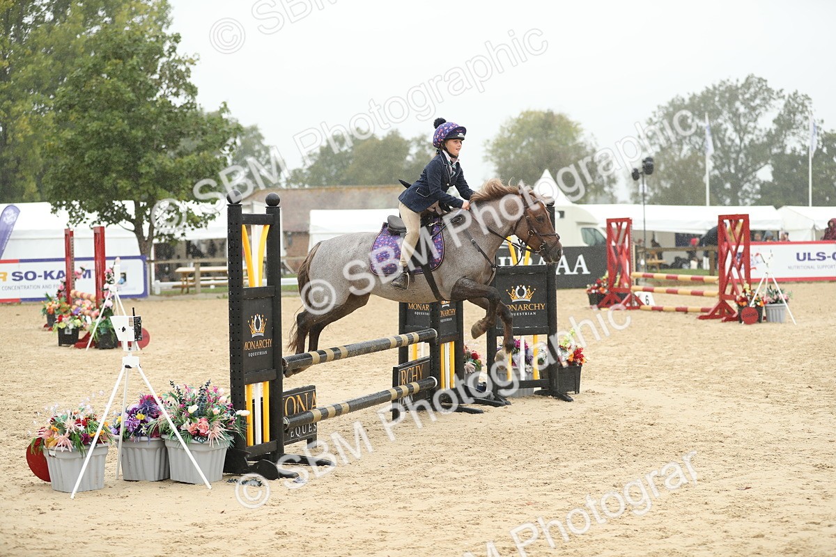 SBM_74026 - J16 - Junior Pony 75cm Championship