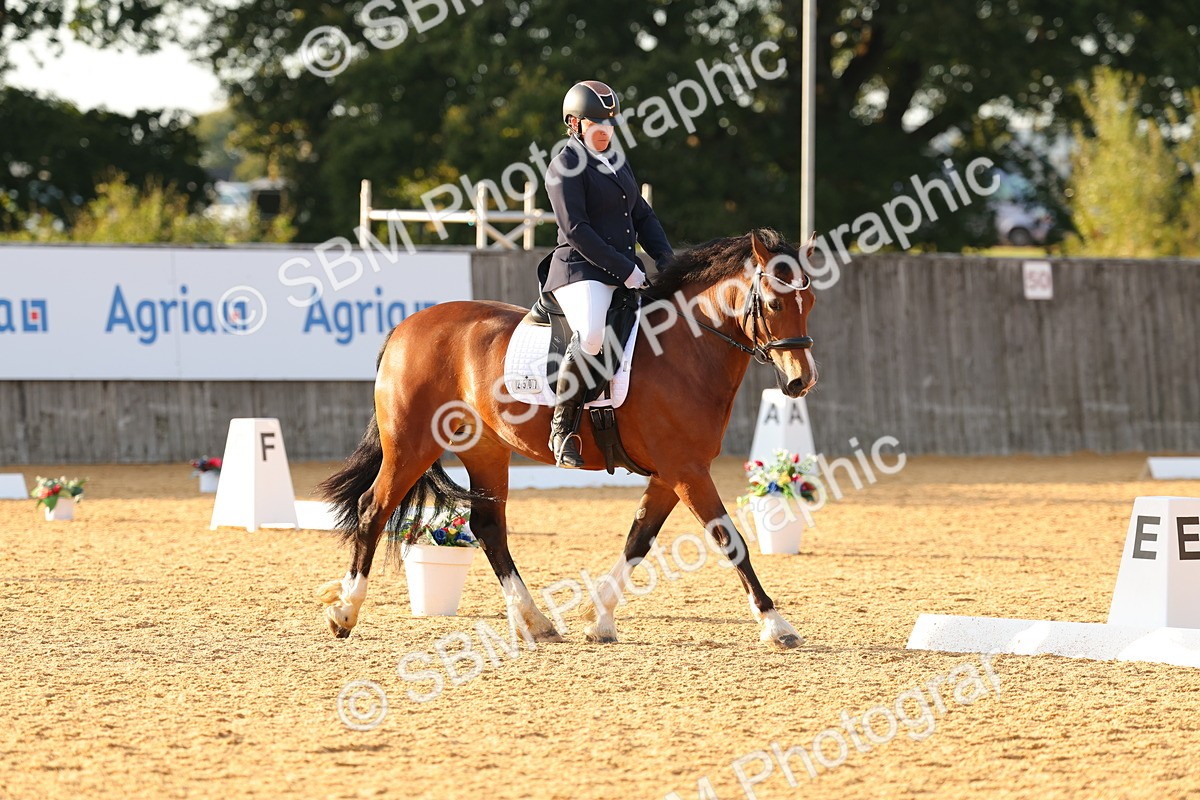SBM_54505 - D12 - Small Tour Championship - Prelim 18