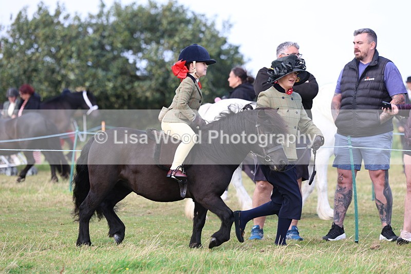 3E7A3513 - Class 2: Lead rein