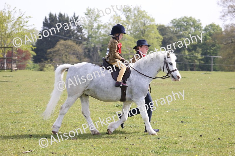 20260426-0604 - Class 31 - Leading Rein