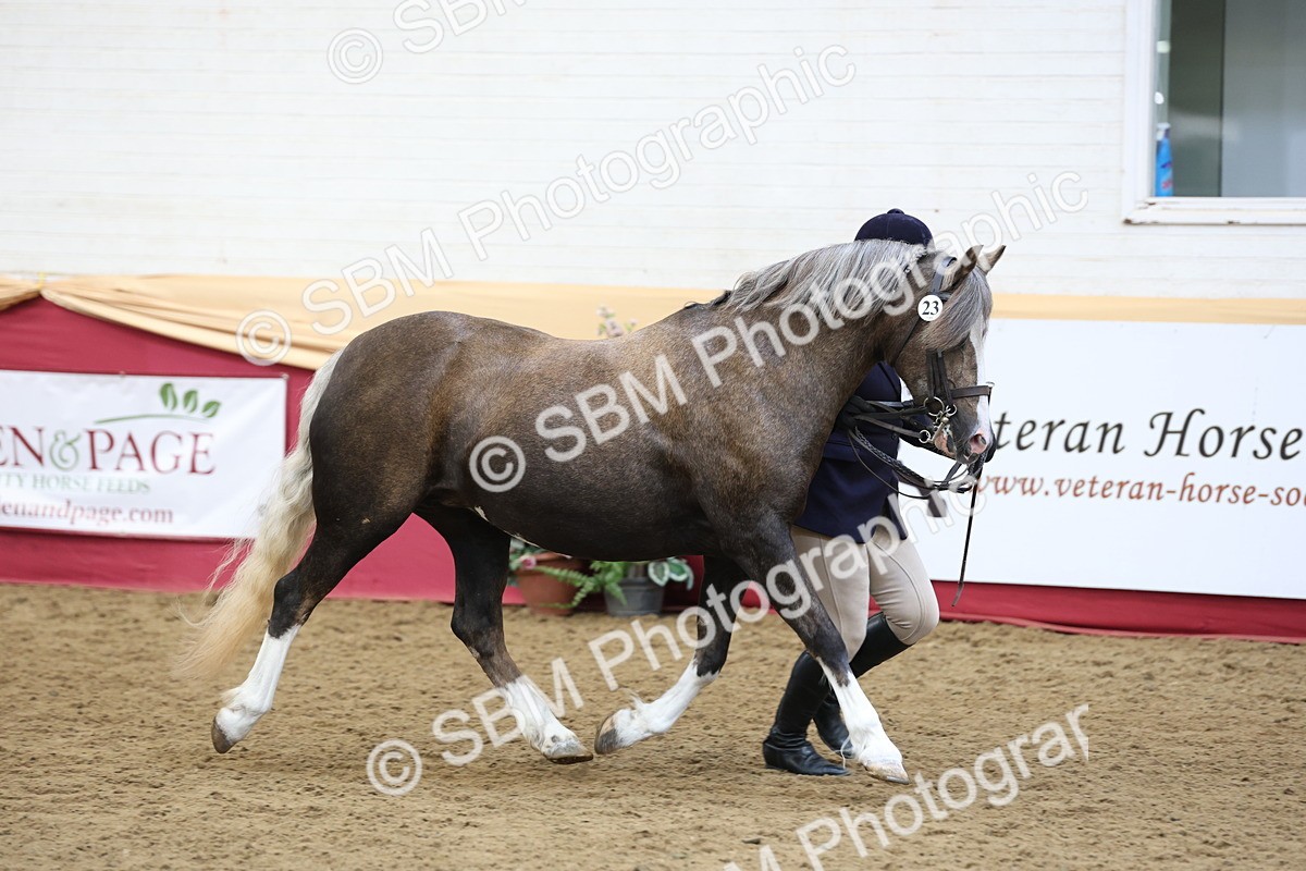 SBM_24088 - Class 905 - Supreme Final - Ridden Veteran
