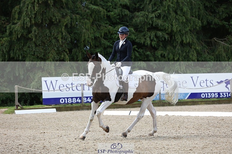 230812-112515-03767 - Cls 5 Novice Bronze 11.15 to 12.50 break