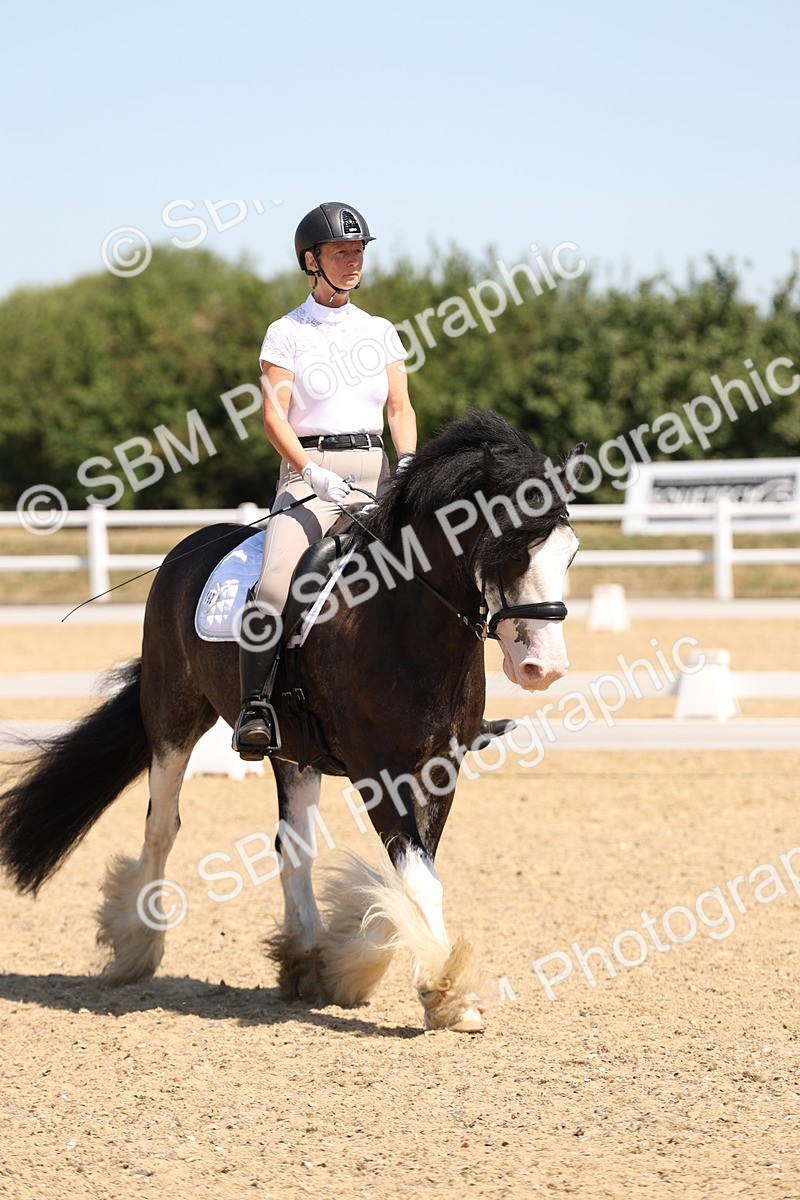 SBM_001203 - Intro 2