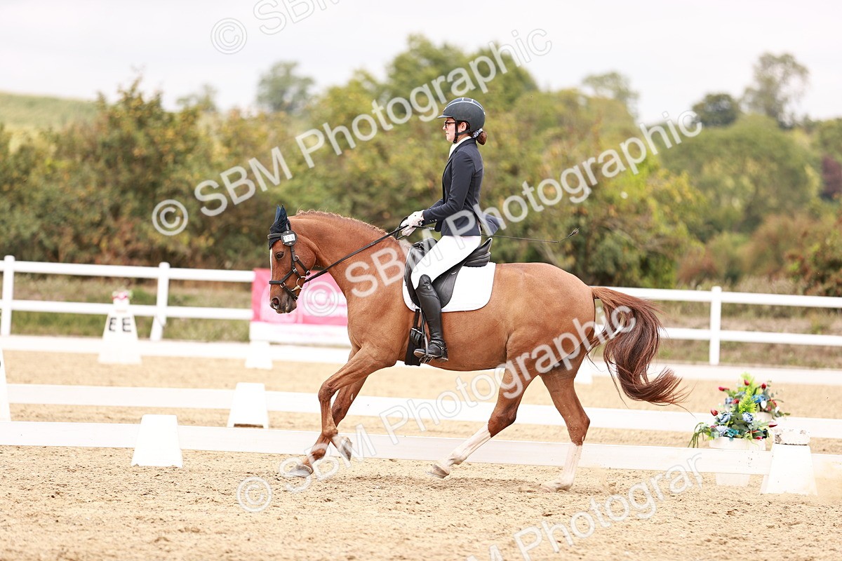 SBM_019299 - Class 20 - Medium 5